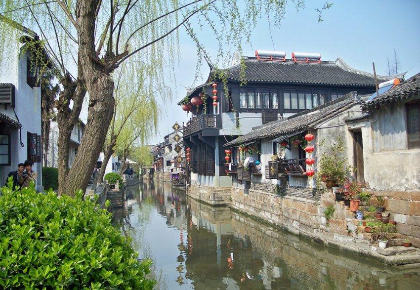 梦想的后院